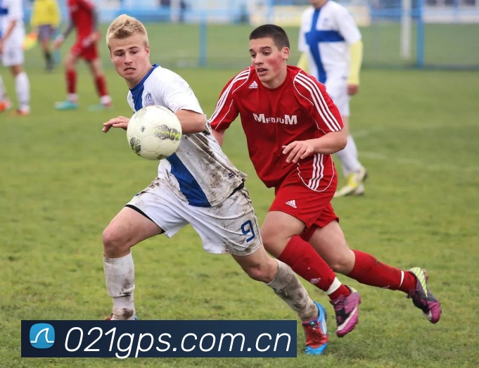 巅峰国际官网下载入口平台生态图